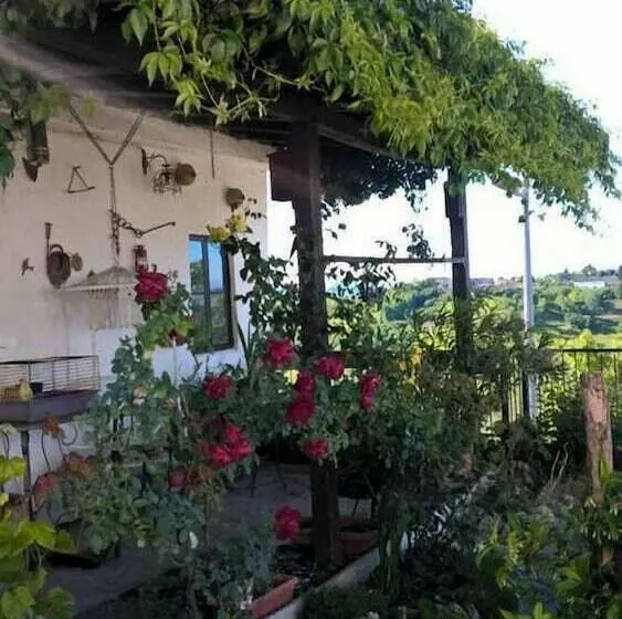 Aamiaismajoitus (B&B) Il Grappolo