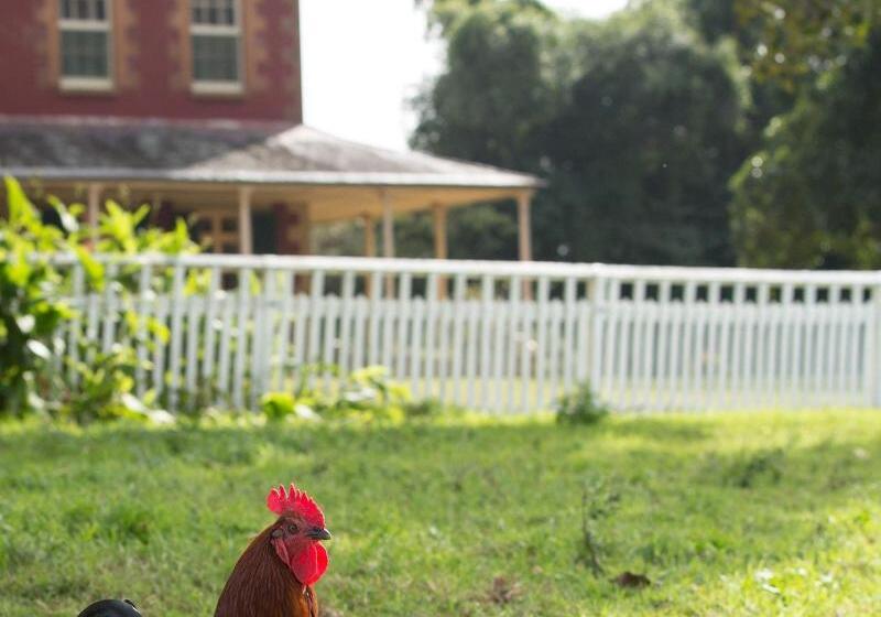 住宿加早餐 The Barracks, Tocal