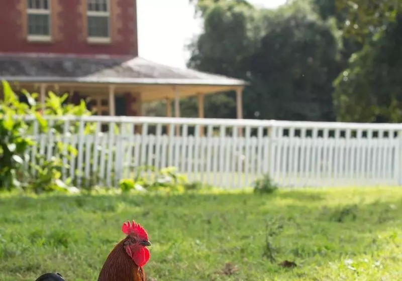 ベッドアンドブレックファースト The Barracks, Tocal