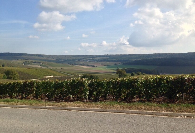 Flor Ever En Champagne