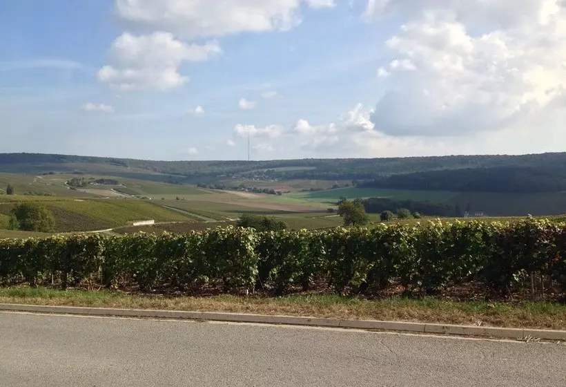 Flor Ever En Champagne