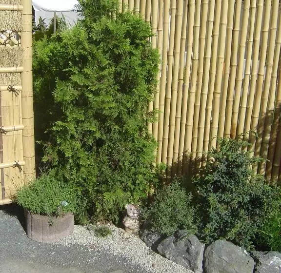 Apartmenthotel Vollumen