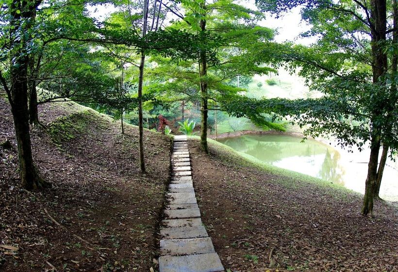 בית מלון כפרי Epic Adventure Lodge