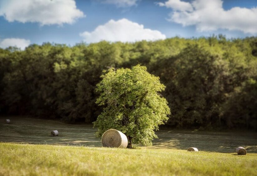 בית מלון כפרי La Mandrélie