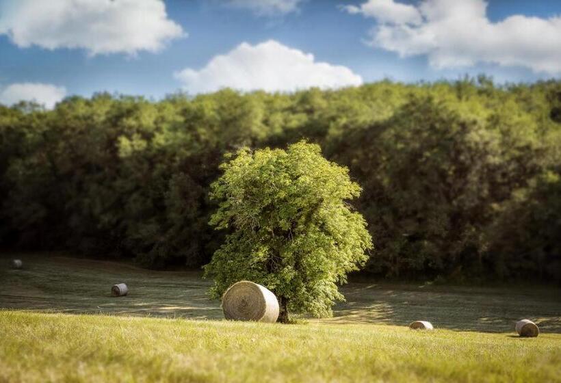 בית מלון כפרי La Mandrélie