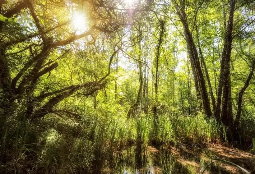 ホテル La Mandrélie