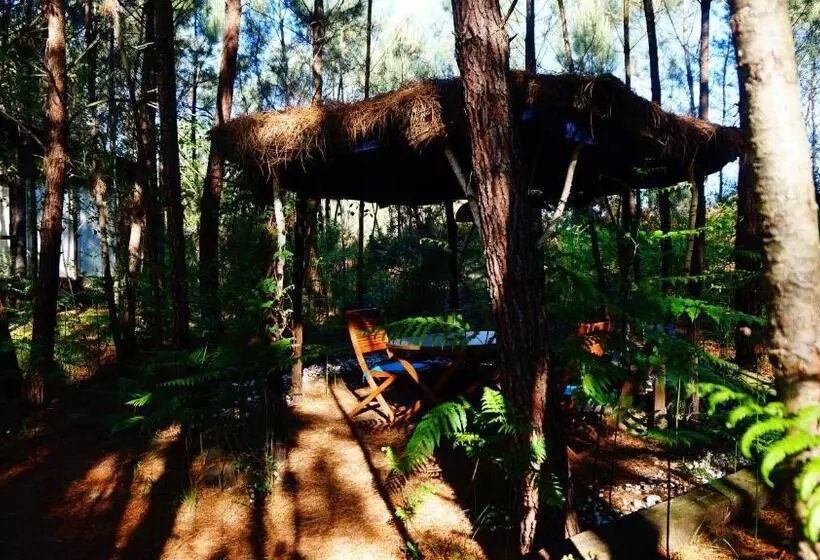 Hotelli Les Landines