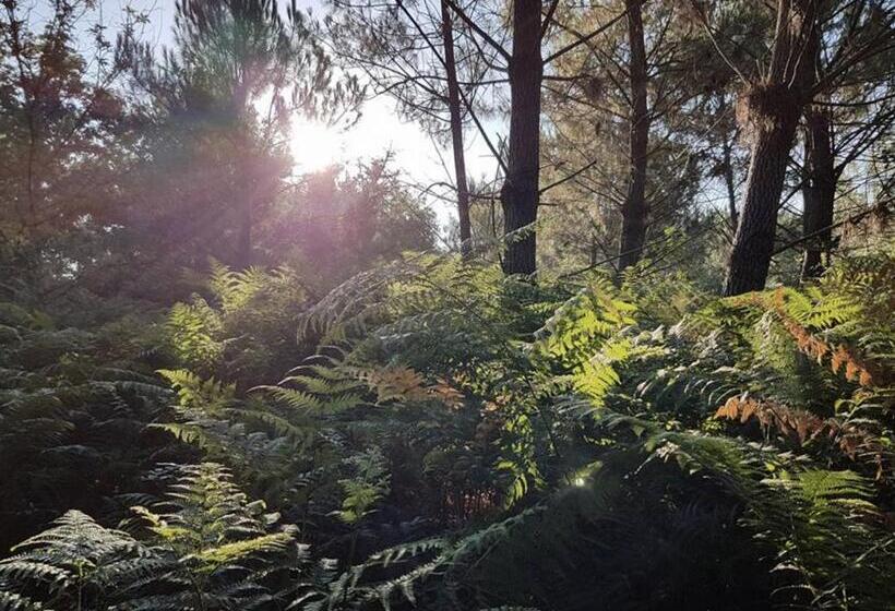 Отель Les Landines