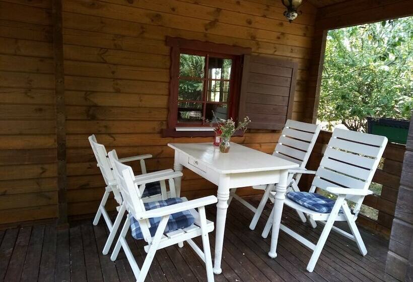 ホテル Pension An Der Stadtmauer