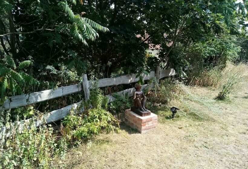 ホテル Pension An Der Stadtmauer