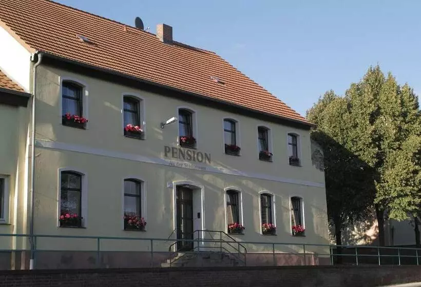 ホテル Pension An Der Stadtmauer