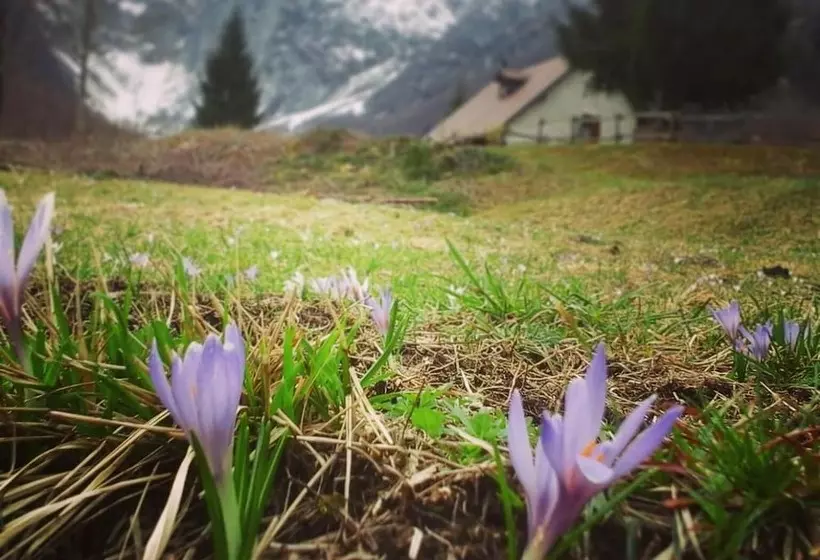 Maaseutuhotelli Agriturismo Pian Dei Tass
