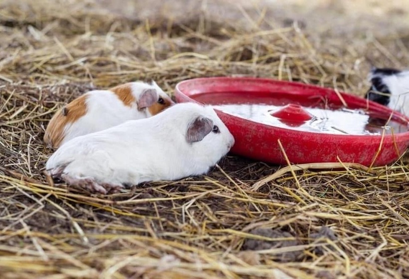 Отель San Basilio De Palenque