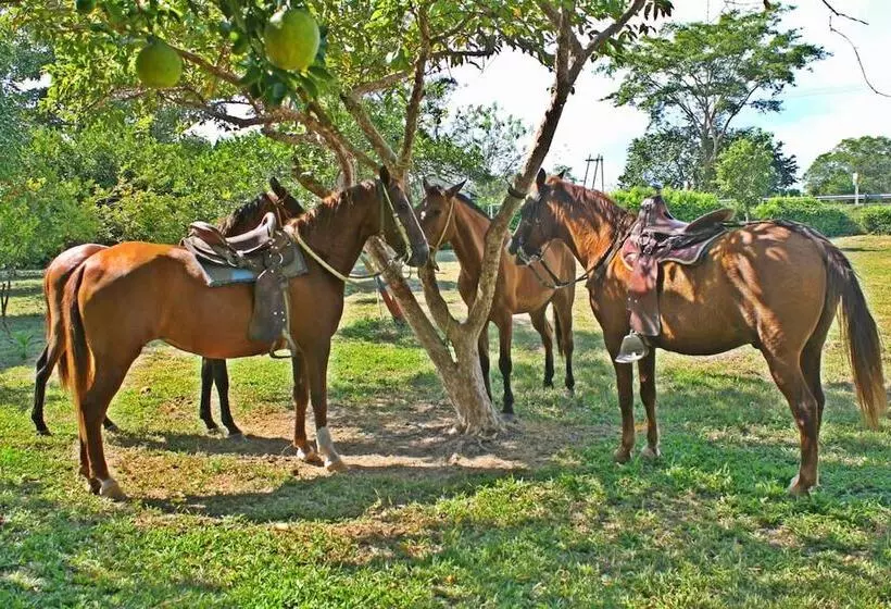 ホテル San Basilio De Palenque