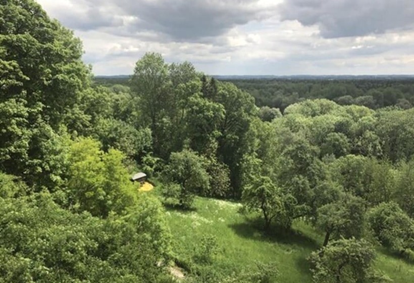 Отель Schranner's