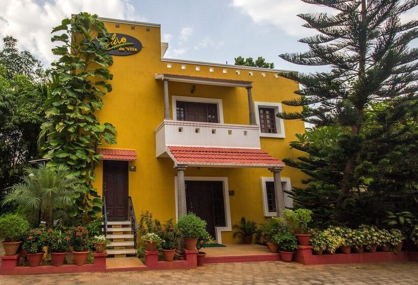 Olive De Villa   A Wandertrails Stay