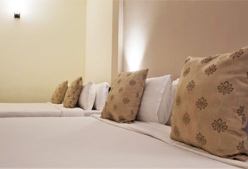 Olive De Villa   A Wandertrails Stay