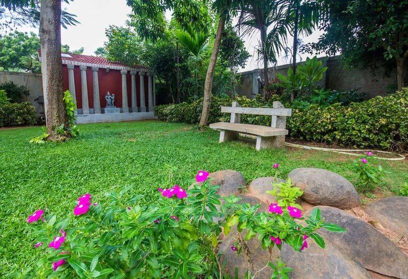 Olive De Villa   A Wandertrails Stay