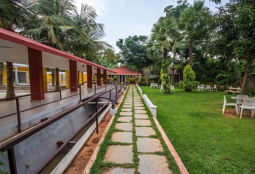 Olive De Villa   A Wandertrails Stay