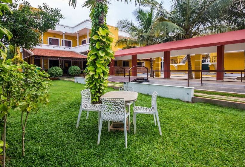 Olive De Villa   A Wandertrails Stay