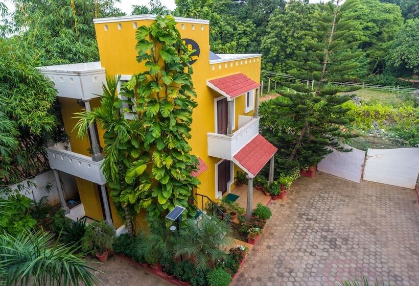 Olive De Villa   A Wandertrails Stay