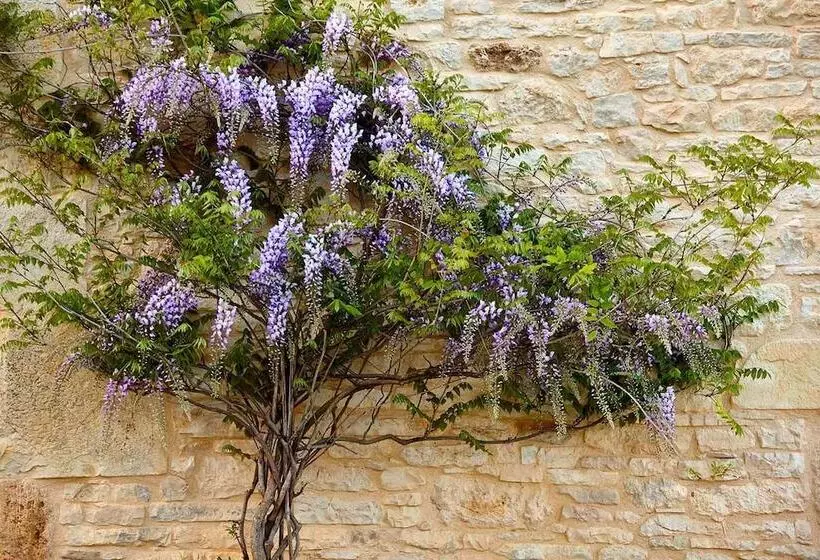 Majatalo Chambres D Hôtes La Tour De Ginaillac