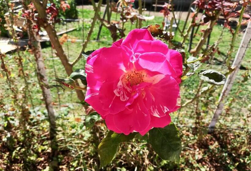 بنسيون Chambres D Hôtes Le Clos