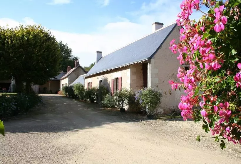 ペンション Domaine De La Bergerie