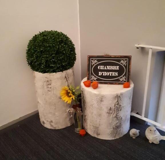 بنسيون Guest House Dommitzsch