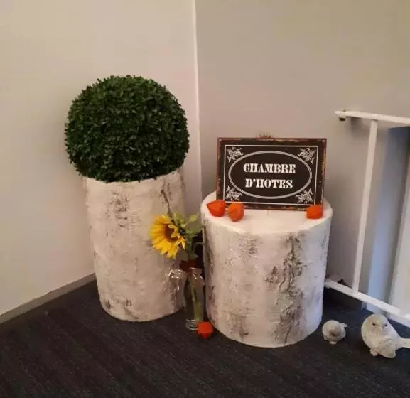 Majatalo Guest House Dommitzsch