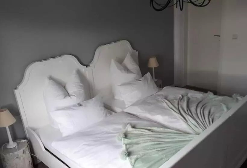 Majatalo Guest House Dommitzsch