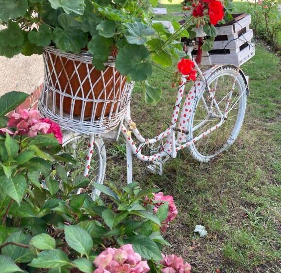 بنسيون Guest House Dommitzsch