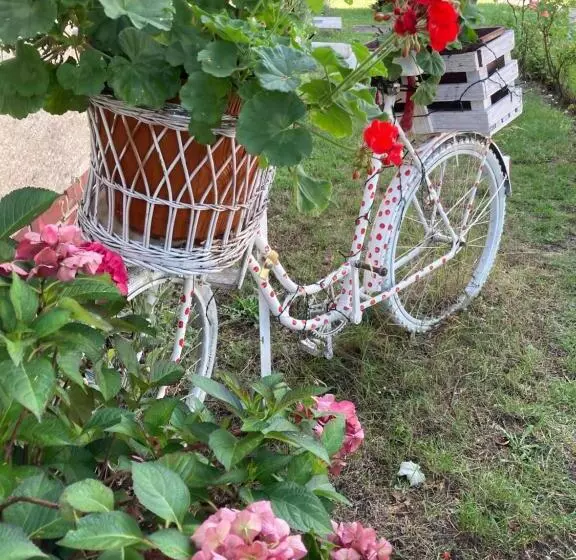 Majatalo Guest House Dommitzsch