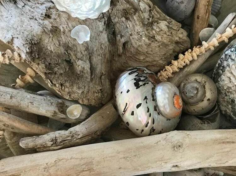 بنسيون Porte 90