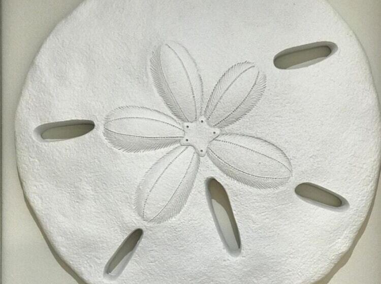 بنسيون Porte 90