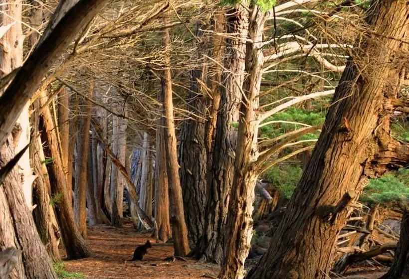 Lomakeskus Big4 Kelso Sands Holiday Park