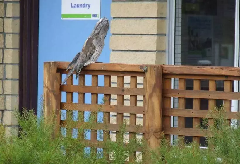 Lomakeskus Big4 Kelso Sands Holiday Park