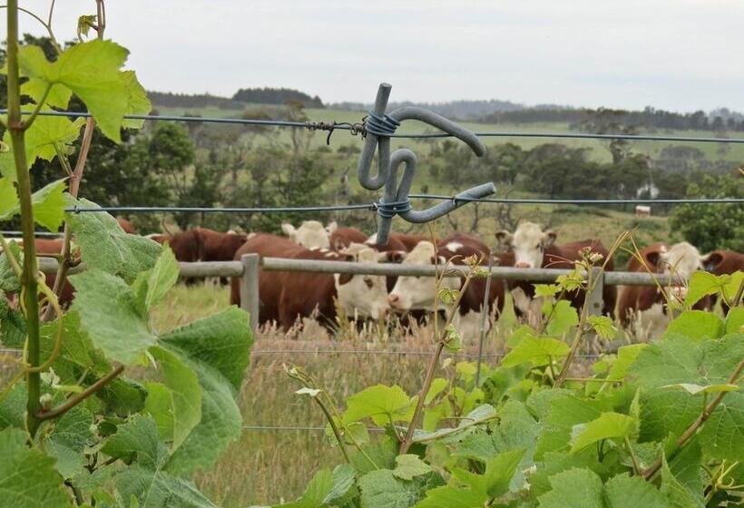 リゾートホテル Big4 Kelso Sands Holiday Park