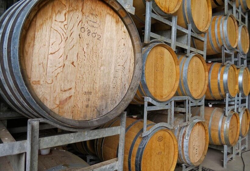 リゾートホテル Big4 Kelso Sands Holiday Park