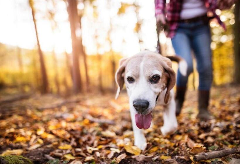 فندق Becket, Bw Signature Collection