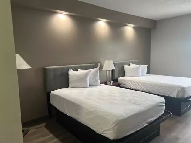 酒店 Baymont By Wyndham Lakeland