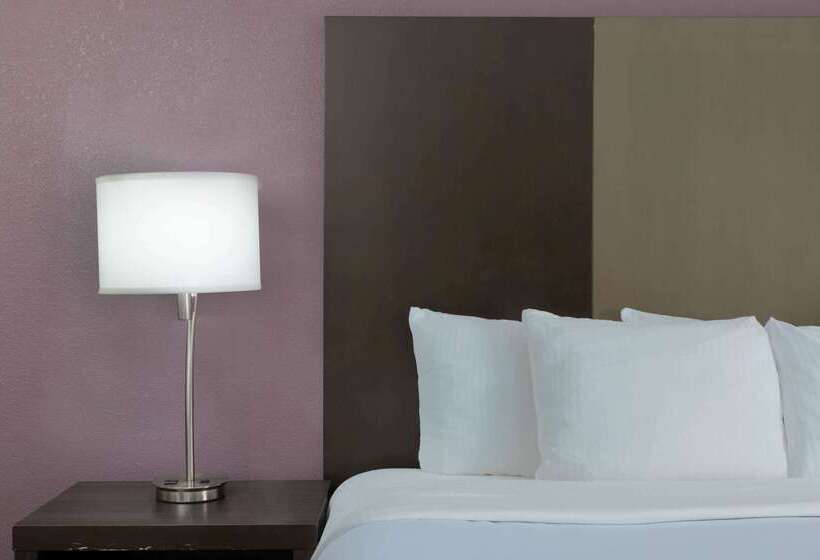 酒店 La Quinta By Wyndham Snellville Stone Mountain