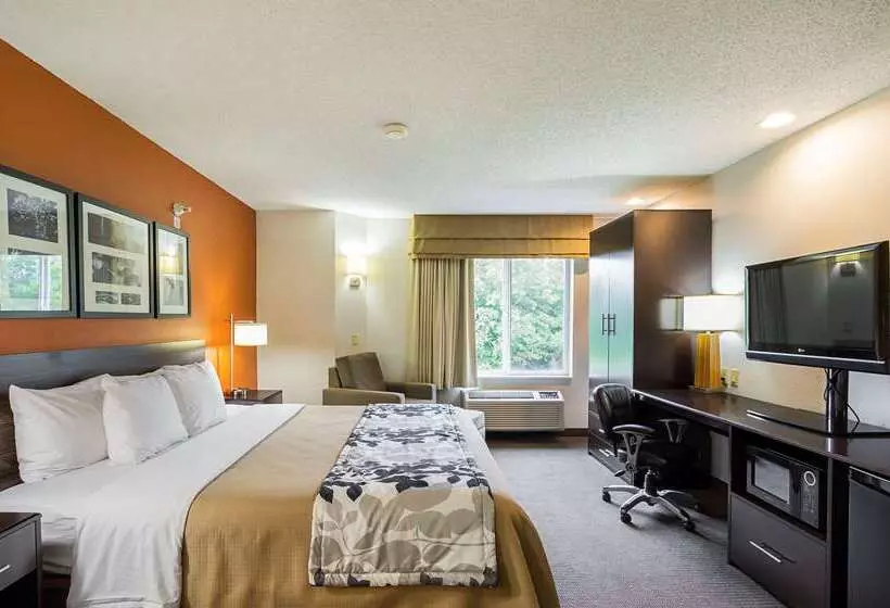 Отель Sleep Inn & Suites
