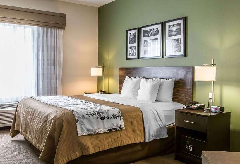 호텔 Sleep Inn & Suites Mount Olive North