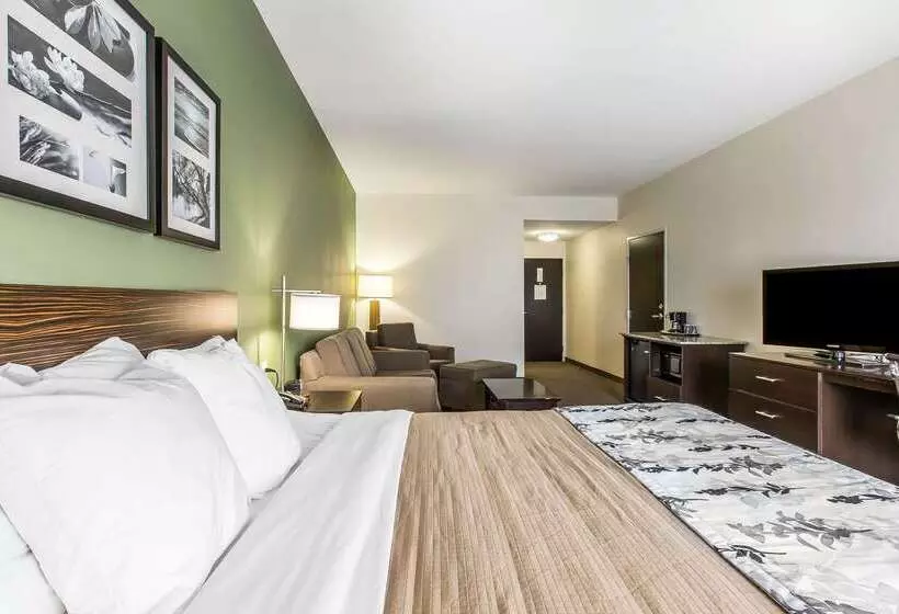 ホテル Sleep Inn & Suites Mount Olive North
