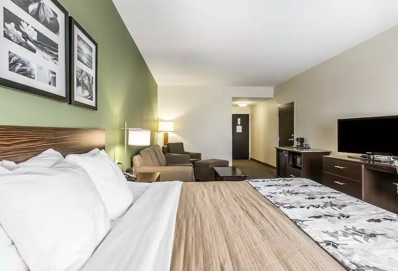 ホテル Sleep Inn & Suites Mount Olive North