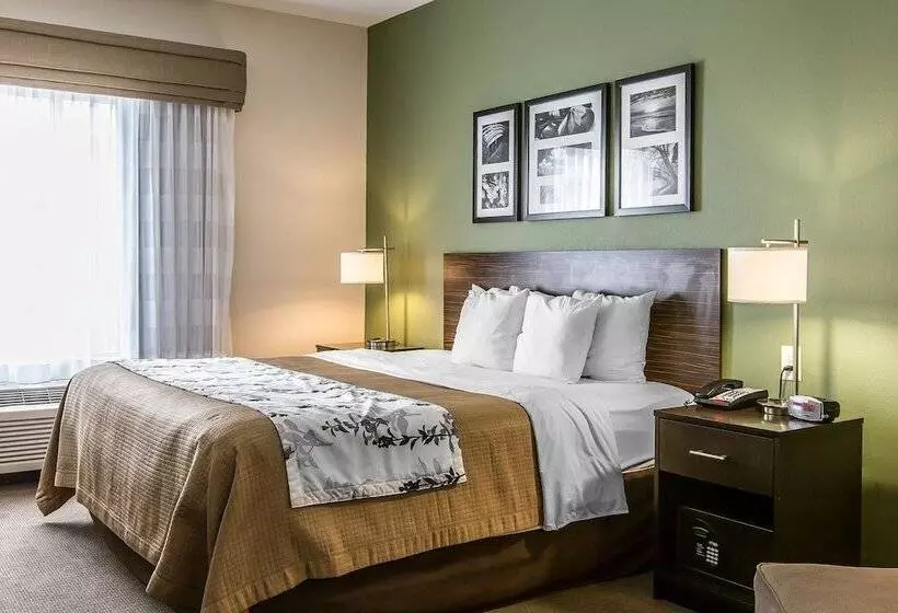 ホテル Sleep Inn & Suites Mount Olive North