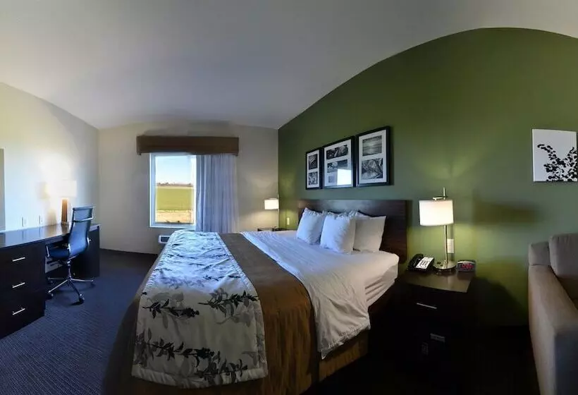 ホテル Sleep Inn & Suites Mount Olive North