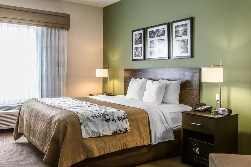 ホテル Sleep Inn & Suites Mount Olive North