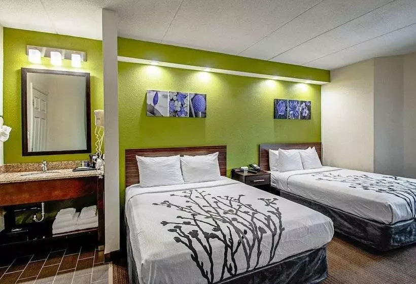 ホテル Sleep Inn